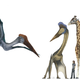 Illustration for article titled What would the world be like if pterosaurs and humans coexisted today? (Part II)